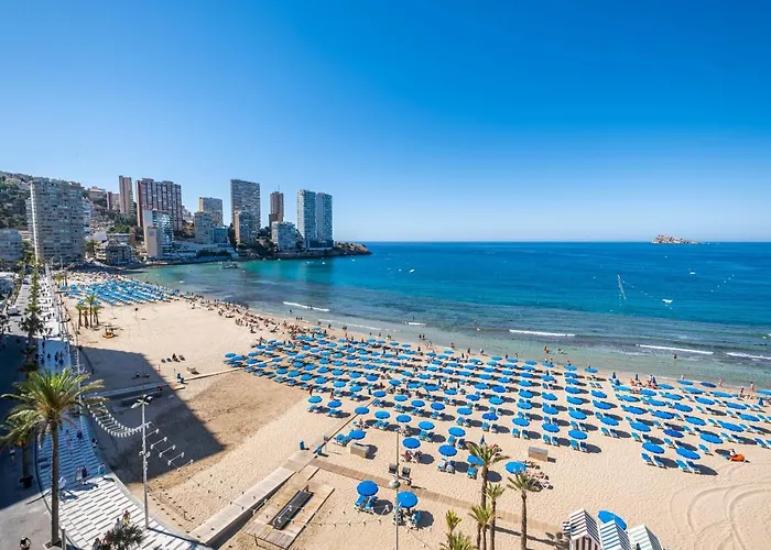 Veracruz 8-a Deluxe Levante Benidorm